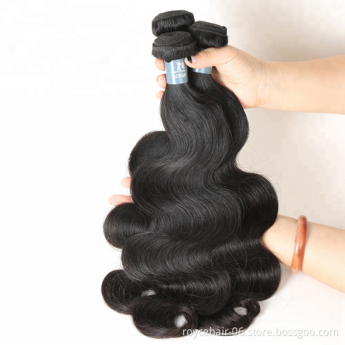 100% Human Hair Brazilian Hair Cuticle Aligned Hair Bundles